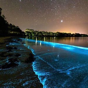 Meet your Posher, Kulveer